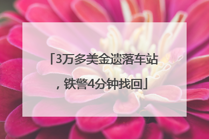 3万多美金遗落车站，铁警4分钟找回