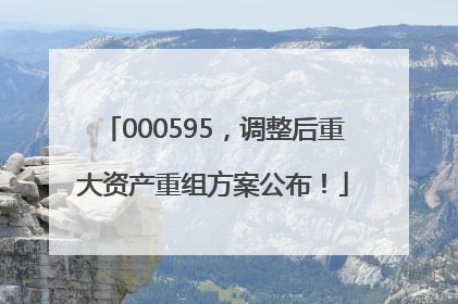 000595，调整后重大资产重组方案公布！