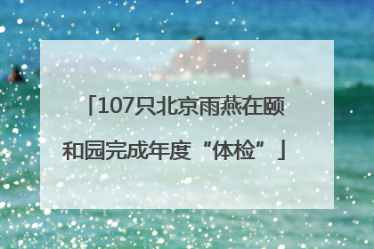 107只北京雨燕在颐和园完成年度“体检”