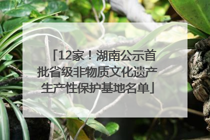 12家！湖南公示首批省级非物质文化遗产生产性保护基地名单