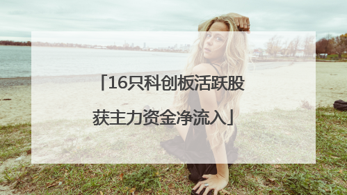 16只科创板活跃股获主力资金净流入