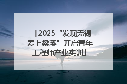 2025“发现无锡 爱上梁溪”开启青年工程师产业实训