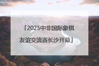 2025中非国际象棋友谊交流赛长沙开幕
