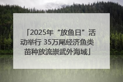 2025年“放鱼日”活动举行 35万尾经济鱼类苗种放流崇武外海域