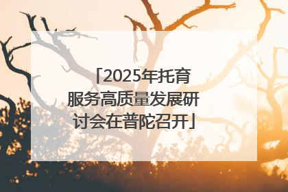 2025年托育服务高质量发展研讨会在普陀召开