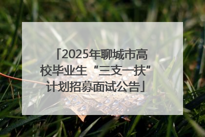 2025年聊城市高校毕业生“三支一扶”计划招募面试公告