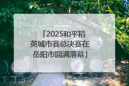 2025和平精英城市赛总决赛在岳阳市圆满落幕