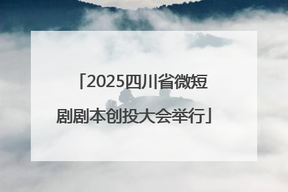 2025四川省微短剧剧本创投大会举行