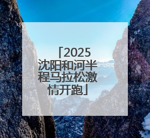 2025沈阳和河半程马拉松激情开跑