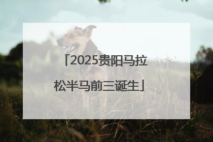 2025贵阳马拉松半马前三诞生