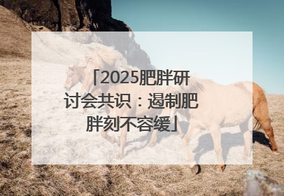 2025肥胖研讨会共识：遏制肥胖刻不容缓