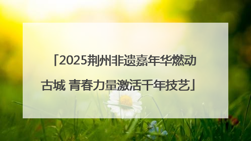2025荆州非遗嘉年华燃动古城 青春力量激活千年技艺