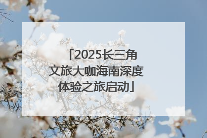 2025长三角文旅大咖海南深度体验之旅启动