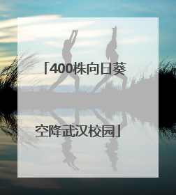 400株向日葵空降武汉校园