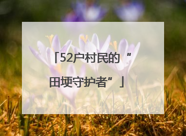 52户村民的“田埂守护者”