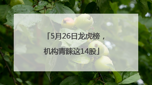 5月26日龙虎榜，机构青睐这14股