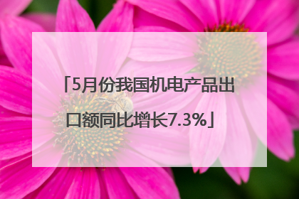 5月份我国机电产品出口额同比增长7.3%