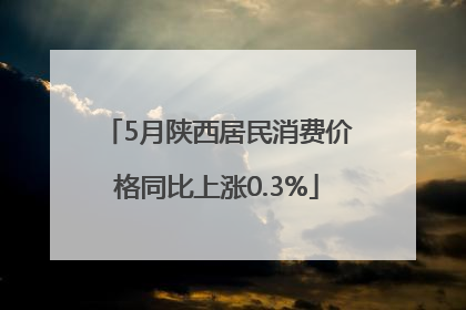 5月陕西居民消费价格同比上涨0.3%
