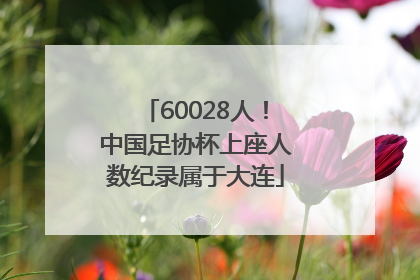 60028人！中国足协杯上座人数纪录属于大连