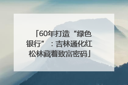 60年打造“绿色银行”：吉林通化红松林藏着致富密码