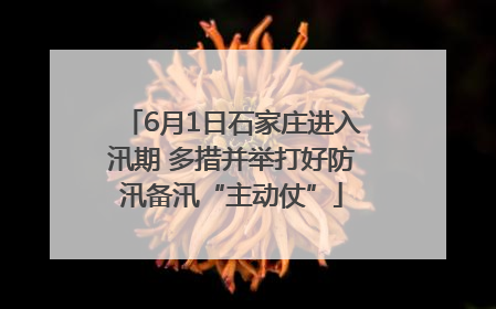 6月1日石家庄进入汛期 多措并举打好防汛备汛“主动仗”