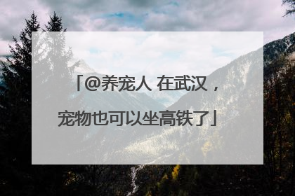 @养宠人 在武汉，宠物也可以坐高铁了