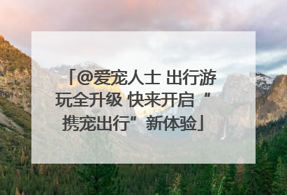 @爱宠人士 出行游玩全升级 快来开启“携宠出行”新体验