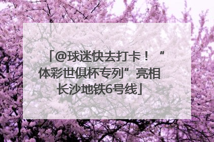 @球迷快去打卡！“体彩世俱杯专列”亮相长沙地铁6号线