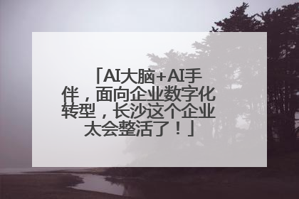 AI大脑+AI手伴，面向企业数字化转型，长沙这个企业太会整活了！
