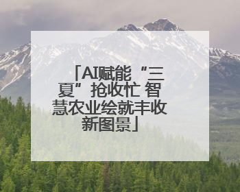 AI赋能“三夏”抢收忙 智慧农业绘就丰收新图景