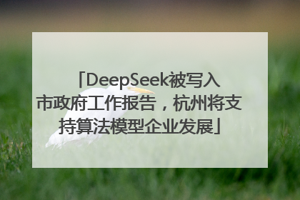 DeepSeek被写入市政府工作报告，杭州将支持算法模型企业发展