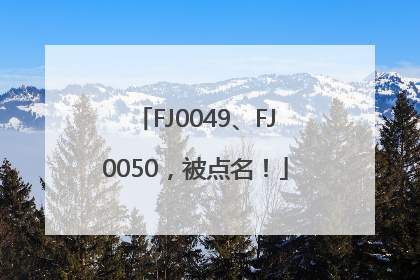 FJ0049、FJ0050，被点名！
