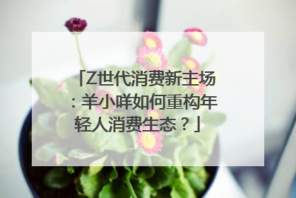 Z世代消费新主场：羊小咩如何重构年轻人消费生态？