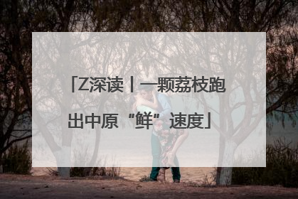 Z深读丨一颗荔枝跑出中原“鲜”速度